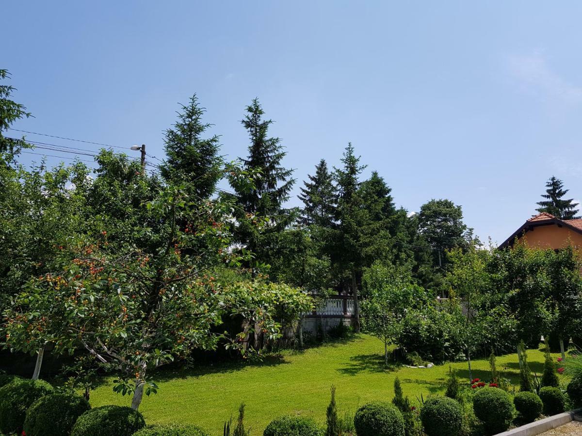Apartment Paradise Enver Dubrave Gornje Luaran gambar
